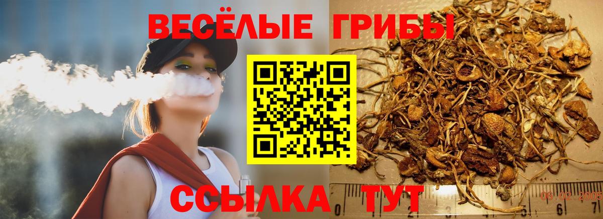 Псилоцибиновые грибы MAGIC MUSHROOMS Коммунар