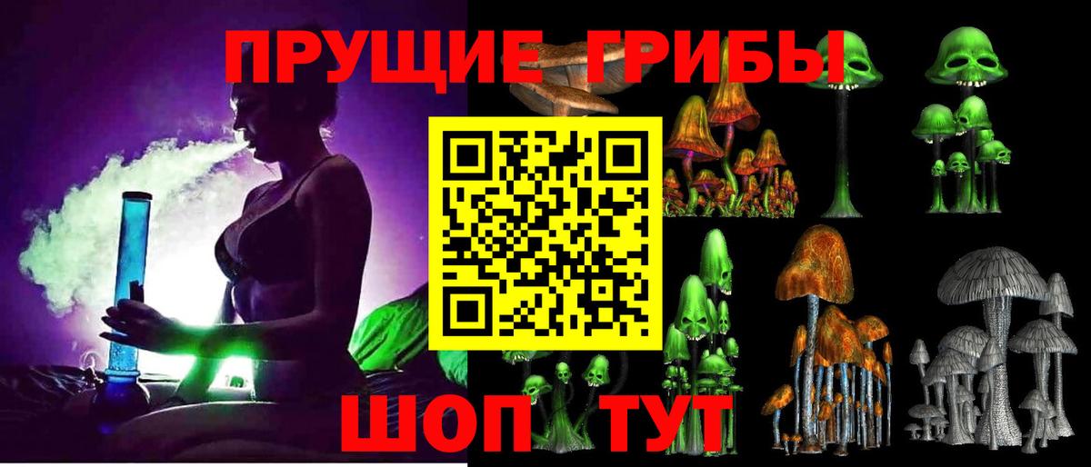 Псилоцибиновые грибы Psilocybe  Вход с VPN  Коммунар  Псилоцибиновые грибы Magic Shrooms 